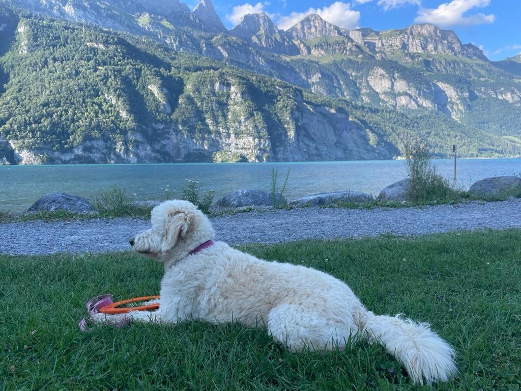 Doodle'S Amazing Chalet -Walensee - Flumserberg - Churfirsten - Heidiland - Pool - Sauna 몰스 외부 사진
