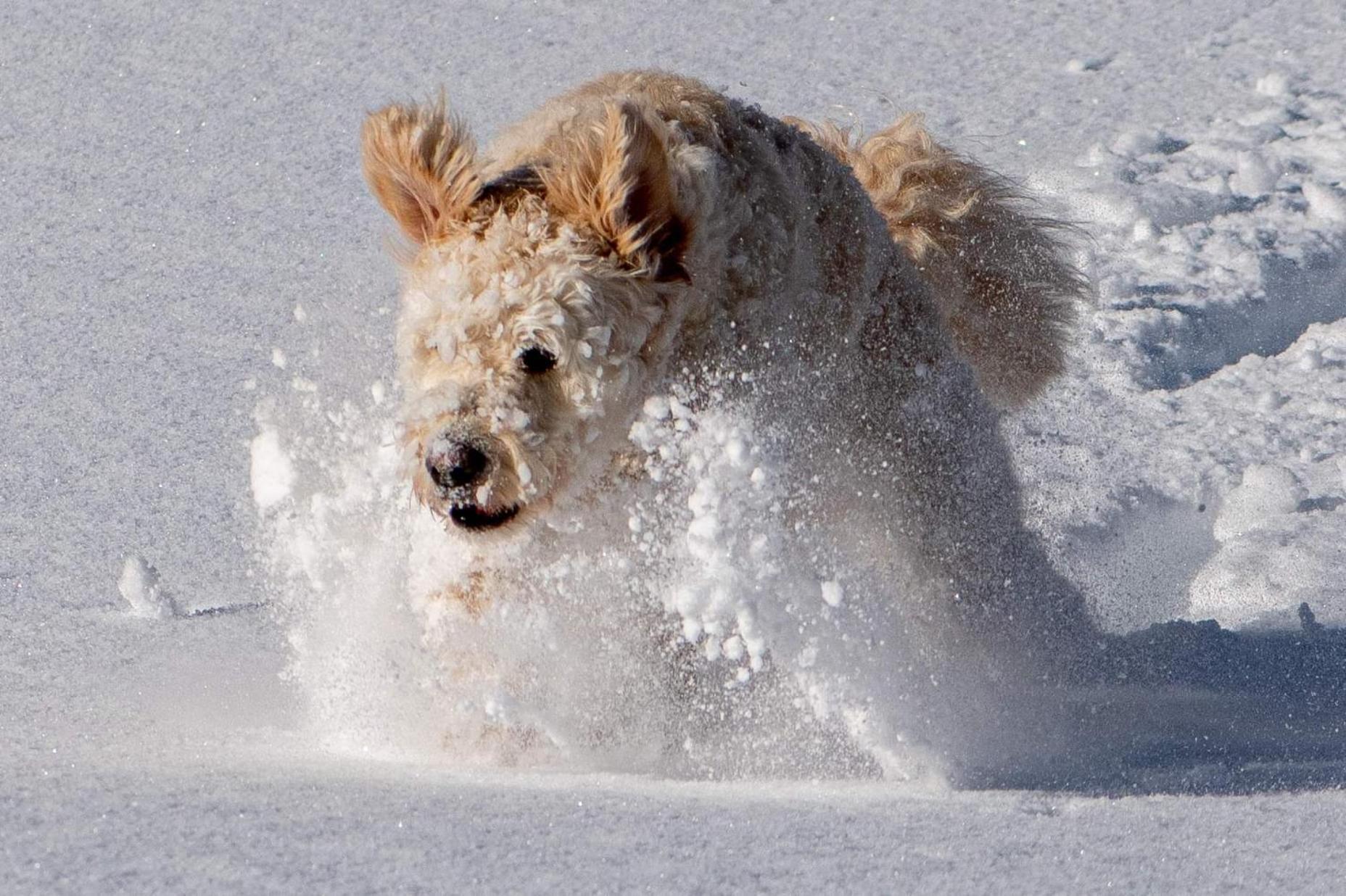 Doodle'S Amazing Chalet -Walensee - Flumserberg - Churfirsten - Heidiland - Pool - Sauna 몰스 외부 사진