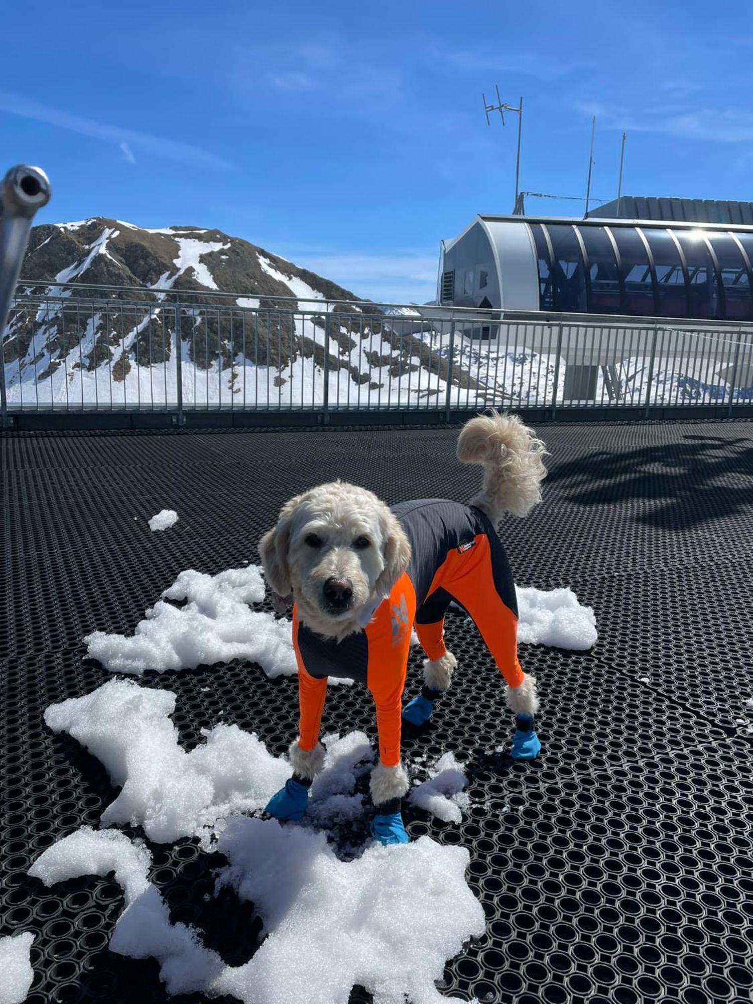 Doodle'S Amazing Chalet -Walensee - Flumserberg - Churfirsten - Heidiland - Pool - Sauna 몰스 외부 사진